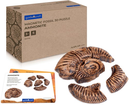 Guidecraft rompecabezas fósil magnético 3D ammonite juguete