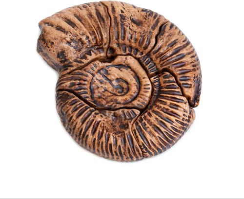 Guidecraft rompecabezas fósil magnético 3D ammonite juguete-2