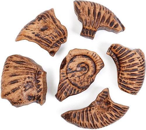 Guidecraft rompecabezas fósil magnético 3D ammonite juguete-3