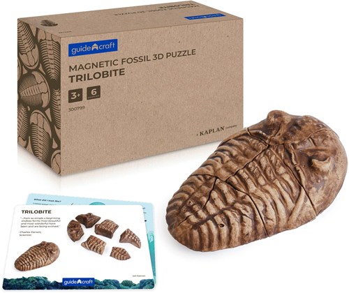 Guidecraft rompecabezas fósil magnético 3D trilobite juguete