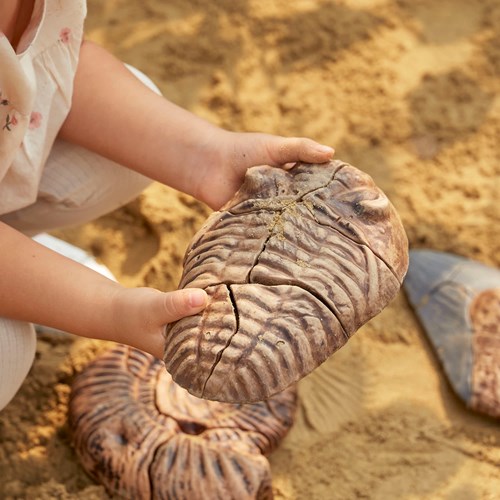 Guidecraft rompecabezas fósil magnético 3D trilobite juguete-2