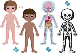 Janod puzzle educativo - cuerpo humano - set de 4 puzzles gigantes