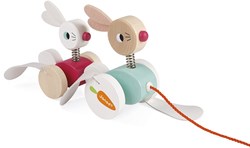 Conejitos Para Pasear Zigolos