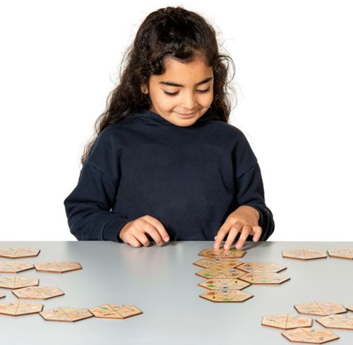 Eduplay juguete educativo Hexagon nature cartón multicolor-2