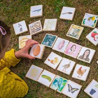 TickiT fichas de madera ciclo de vida juguete educativo naturaleza-3