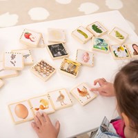 TickiT fichas de madera ciclo de vida juguete educativo naturaleza