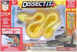Joker juguete disección Serpiente de cascabel experimento educativo regalo