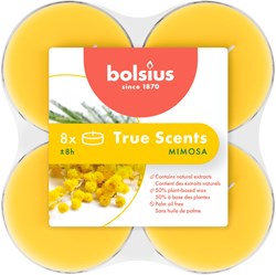 Bolsius velas de té perfumadas maxi mimosa 8 unidades - larga duración
