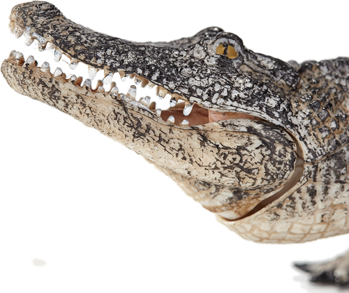 Mojo Wildlife speelgoed Alligator met bewegende kaak - 387168