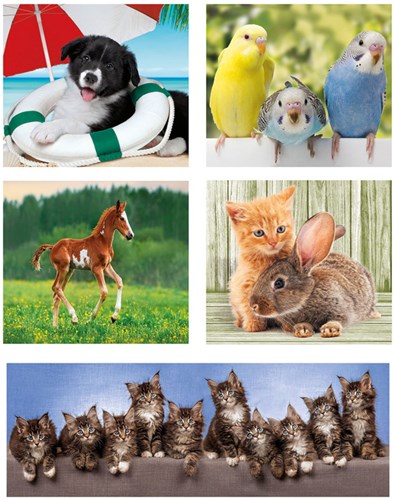 Clementoni puzzle animales 10-en-1 cartón juego ecológico infantil-2