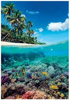 Clementoni puzzle 1000 piezas paraíso de verano HQC adultos-2