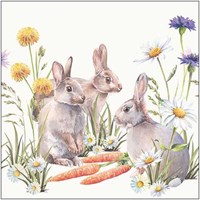 Ambiente servilletas de papel Carrot treat 33x33cm decoración blanca