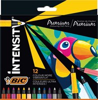 BIC rotuladores Intensity caja de lujo 12 colores set premium