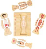 BigJigs puzzle de anatomía de madera niño juguete educativo 26 piezas-2