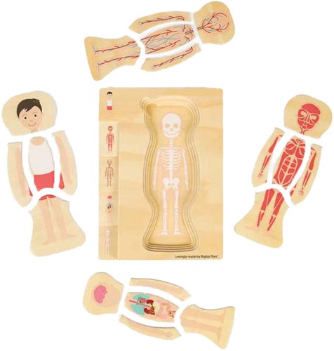 BigJigs puzzle de anatomía de madera niño juguete educativo 26 piezas-2