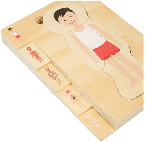BigJigs puzzle de anatomía de madera niño juguete educativo 26 piezas-3