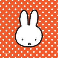 Haza servilletas Nijntje 20 unidades - decoración fiesta infantil papel