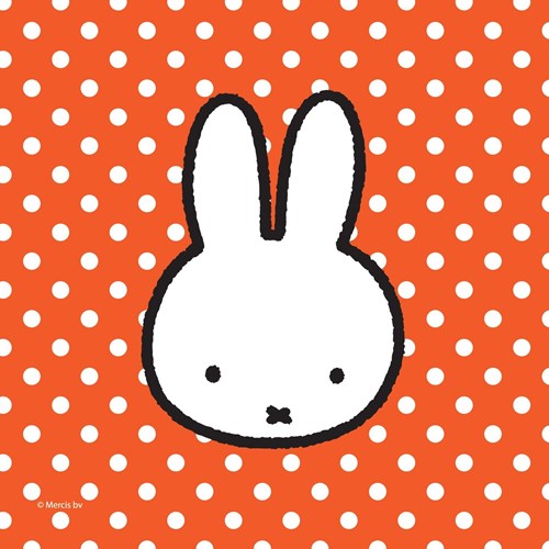 Haza servilletas Nijntje 20 unidades - decoración fiesta infantil papel