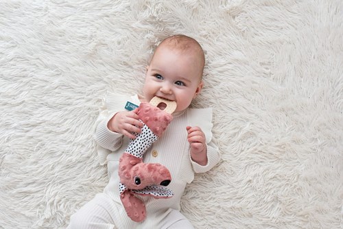 Mom's Care SOFT BABY TOYS Squezze Jami dog with teether pastel pink 4