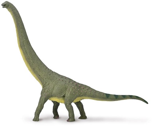 Collecta figura de dinosaurio Dreadnoughtus escala 1:100-2