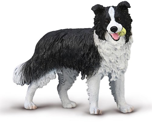 Collecta Border Collie - Perro Juguete Figura Animal Realista