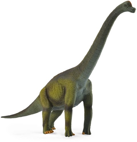 Collecta figura de dinosaurio Brachiosaurus verde - tamaño grande-2