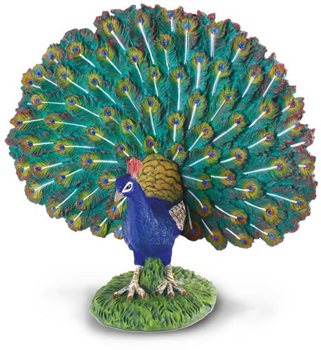 COLLECTA Peacock - (L)