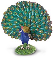 COLLECTA Peacock - (L)-2