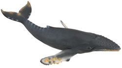 COLLECTA Ballena Jorobada - (XL)