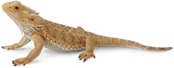 Dragón barbudo lagarto COLLECTA - (L)