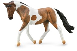 COLLECTA Pinto Mare Castaño - (XL)