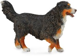 COLLECTA Berner Sennenhond - (L)