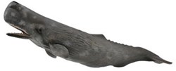 COLLECTA Cachalote - (XL)
