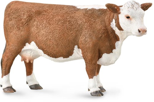 Collecta Vaca Hereford - (L)-2