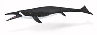 COLLECTA Shastasaurus - (L)