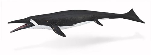 COLLECTA Shastasaurus - (L)