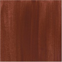 Bruynzeel témpera juguete botella 16ml marrón Ecola-2