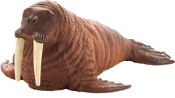 Mojo Juguete Sealife Morsa - 387209