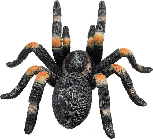 Mojo Juguete de vida silvestre Tarántula de rodilla roja - 387213-2