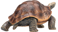 Mojo Juguete de Vida Silvestre Tortuga Gigante - 387259-3