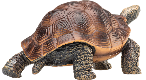 Mojo Juguete de Vida Silvestre Tortuga Gigante - 387259-3