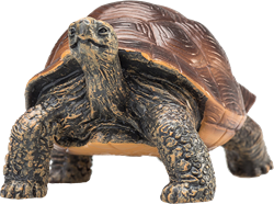 Mojo Juguete de Vida Silvestre Tortuga Gigante - 387259