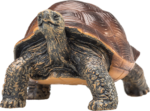 Mojo Juguete de Vida Silvestre Tortuga Gigante - 387259