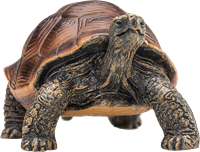 Mojo Wildlife speelgoed Reuzenschildpad - 387259