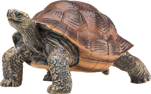 Mojo Juguete de Vida Silvestre Tortuga Gigante - 387259-2
