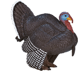 Mojo Juguete de madera Pavo macho - 387285
