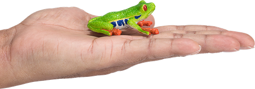 Mojo Wildlife juguete Rana de ojos rojos - 387299-3