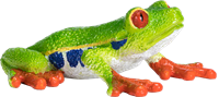 Mojo Wildlife juguete Rana de ojos rojos - 387299-2
