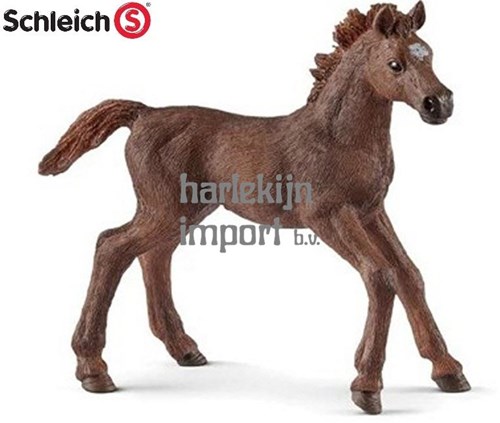 Schleich caballo potro pura sangre inglés figura de juguete marrón 9 cm-2