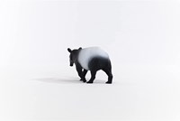 Schleich Wild Life Tapir - Figura de juego - Juguete infantil 14850-3